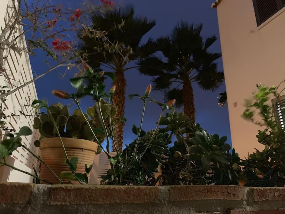 villa cinco palmas Almerimar Esterno foto